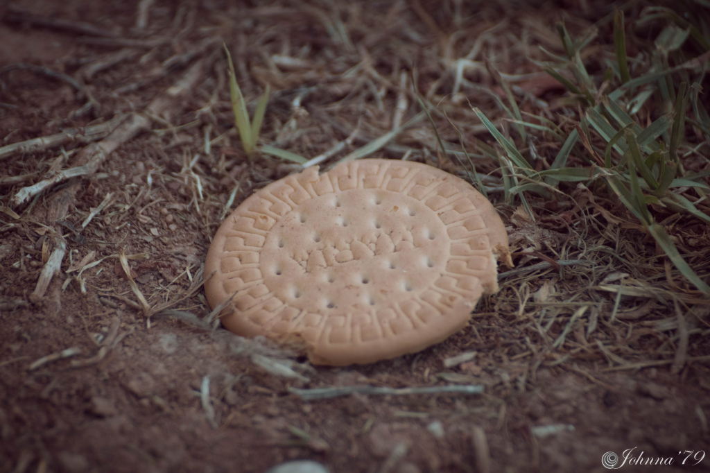 Microrrelatos de la galleta